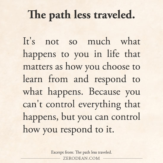 Lessons Learned from The Path Less Traveled Volume 1 by Zero Dean