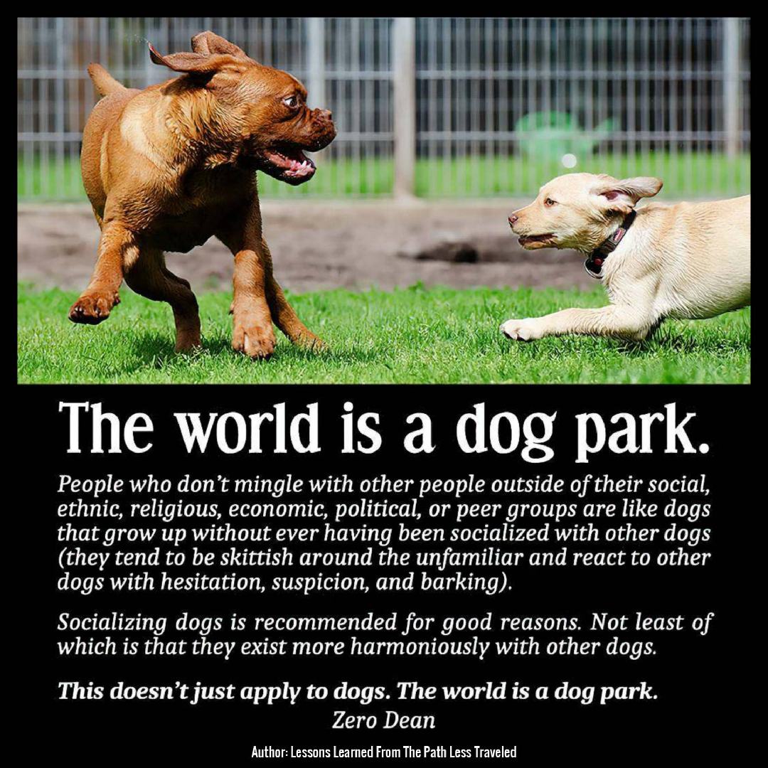 the-world-is-a-dog-park-zero-dean-dogs