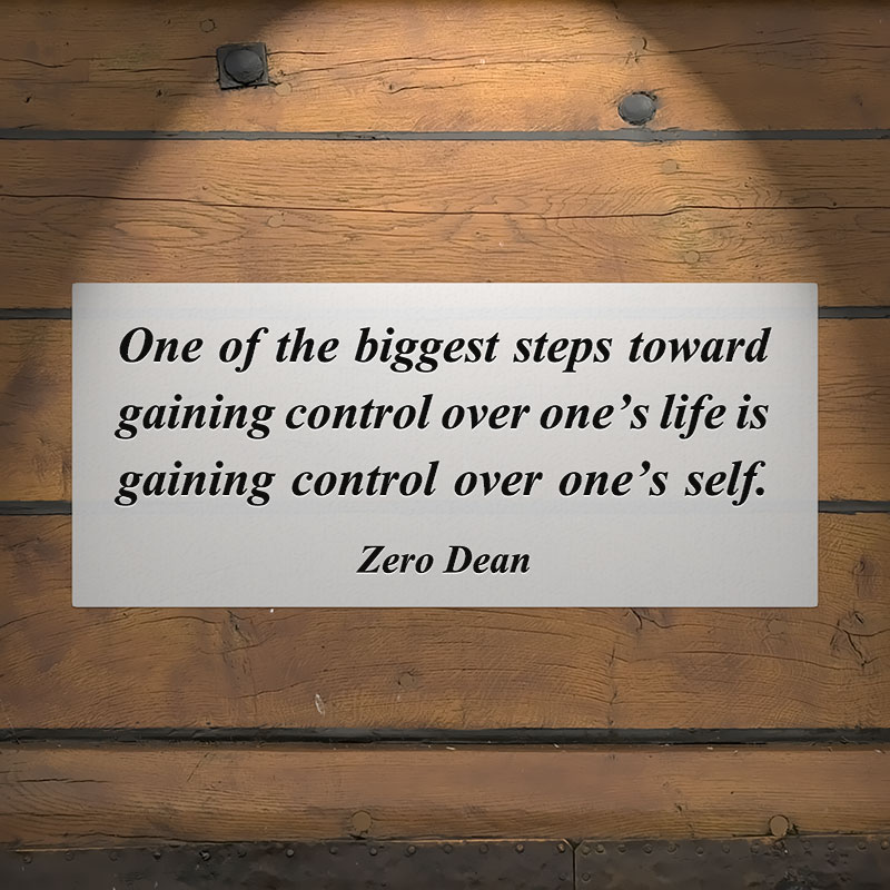 Lessons Learned from The Path Less Traveled by Zero Dean